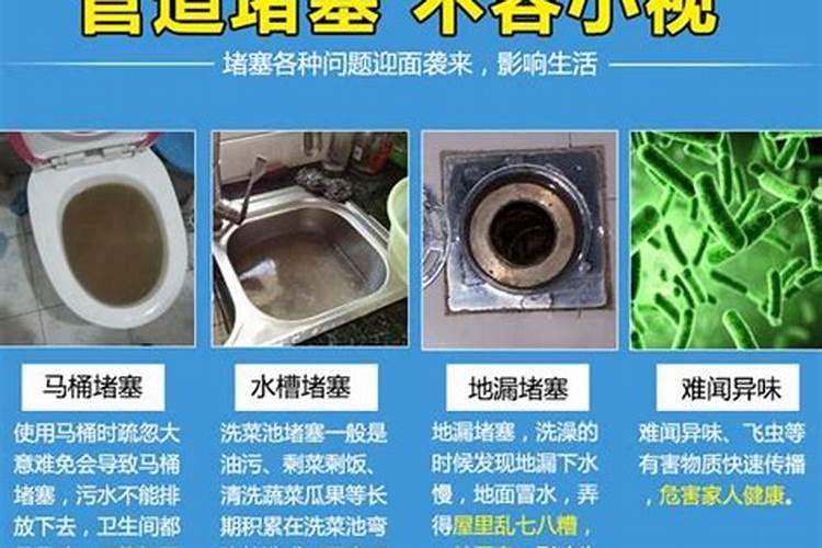 释迦牟尼果树怎么修剪？