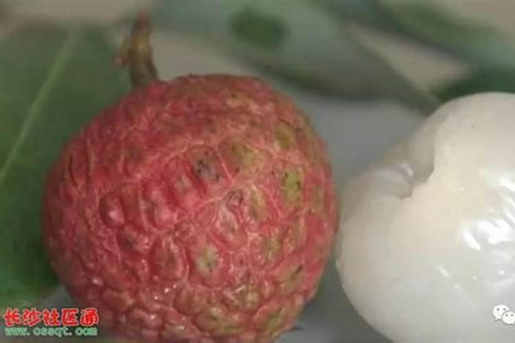 请问有机肥料对大棚里的土壤有什么作用？