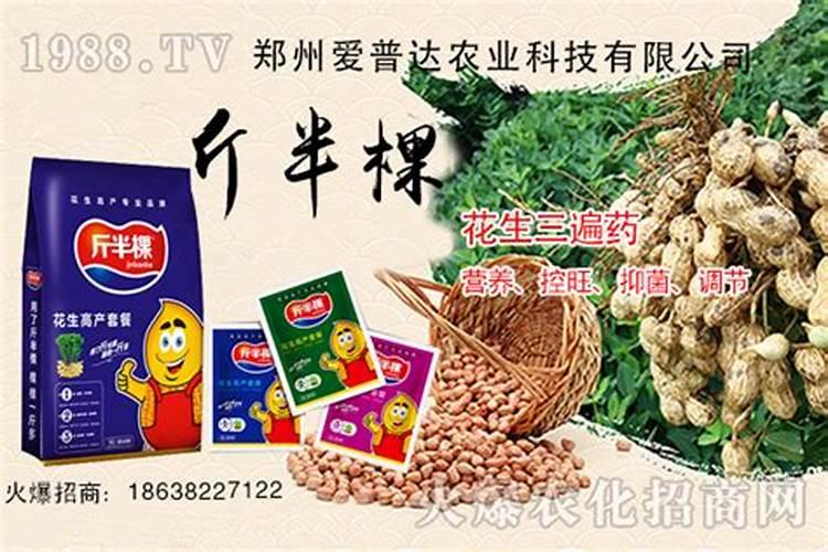 花生的早衰很常见,花生该怎样防早衰？