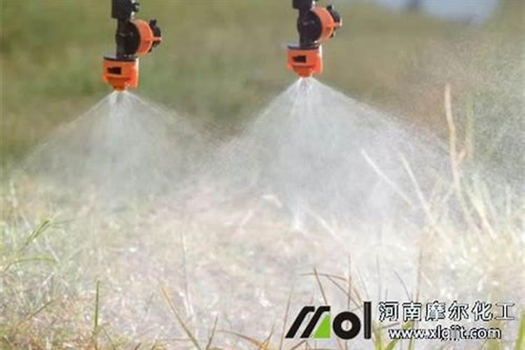 提苗用什么肥料