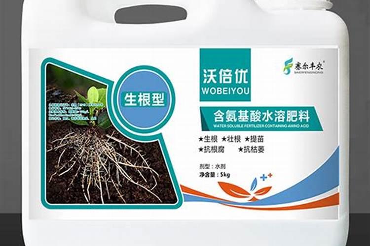 草莓生根壮苗的水溶肥有几种？