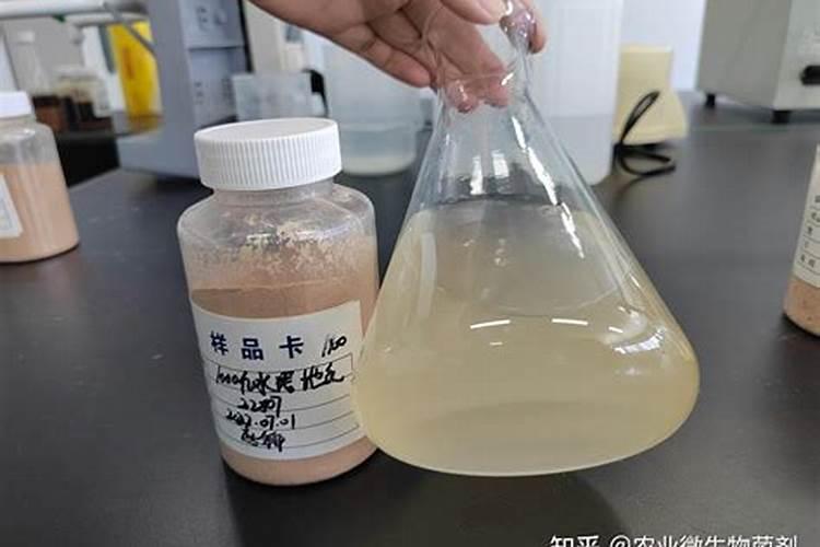 矿源黄腐酸钾,枯草芽孢杆菌能和平衡肥一起用吗？