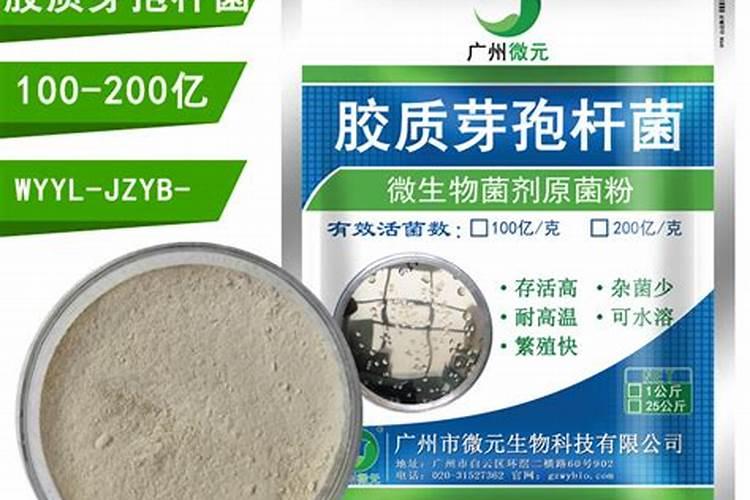 油菜根肿病用什么农药花卉百科