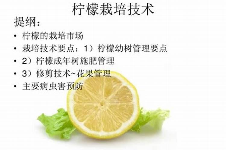柠檬挂果后需要施什么肥
