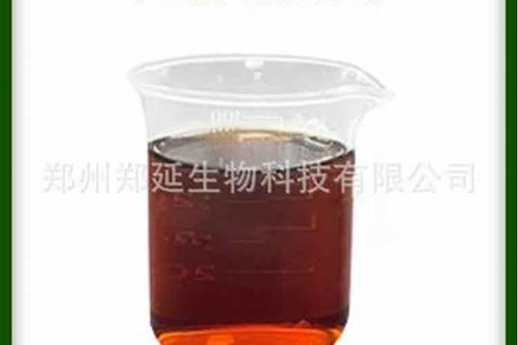 打脐橙叶面肥用什么好？