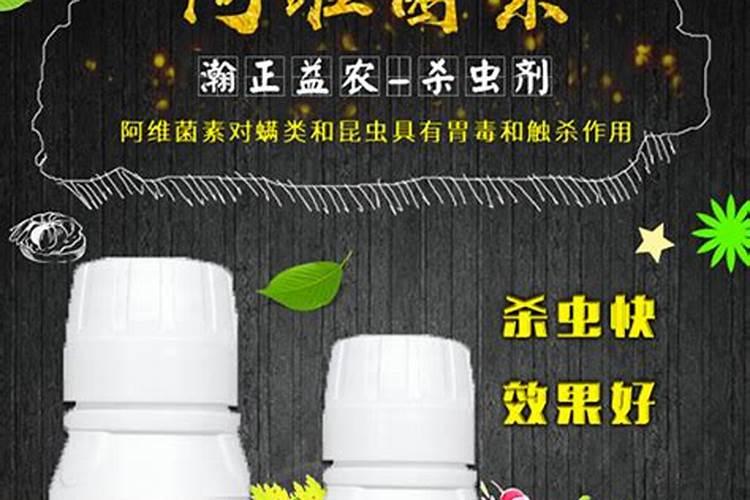 千手观音仙人掌的养殖方法和注意事项有哪些