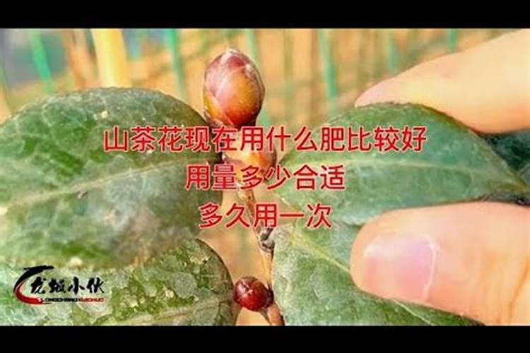理家坪乡名优特产