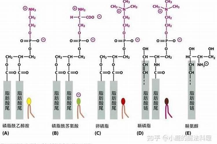 硫酸钾型复合肥和硫酸钾复合肥有区别吗？