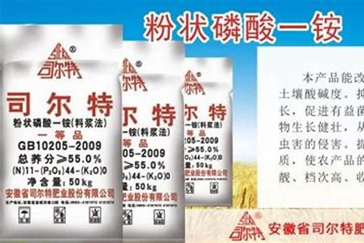 玉树什么肥养殖长得快,不同时期的施肥方法注意事项