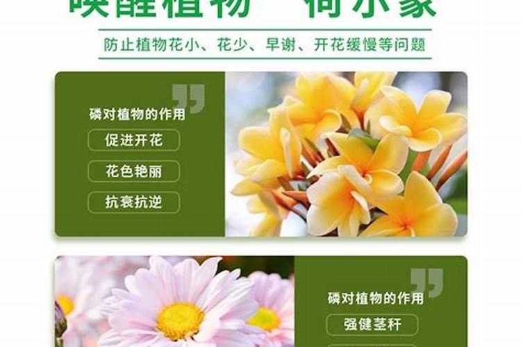 钙镁磷肥是复合肥吗 钙镁磷肥能和复合肥混施吗