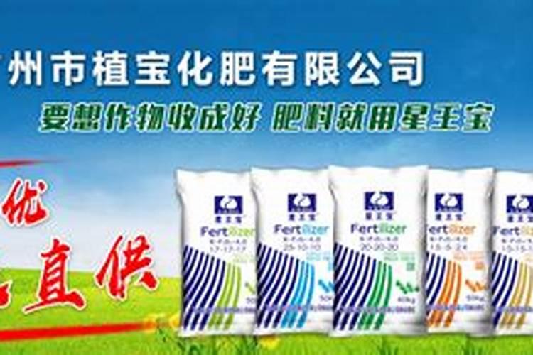 榴莲市场批发价是多少钱一斤？