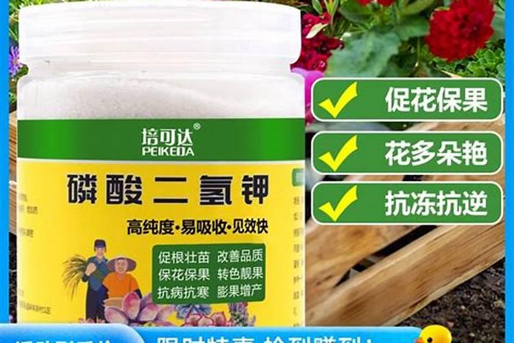 氮肥可以兑水浇花吗