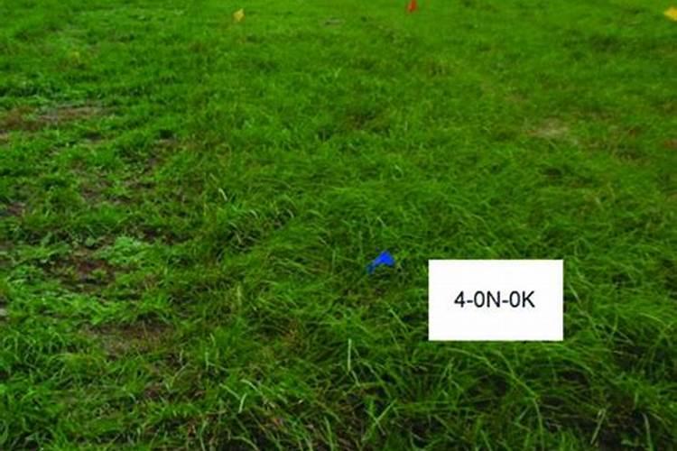 微量元素肥料在植物体内的作用及施用方法？