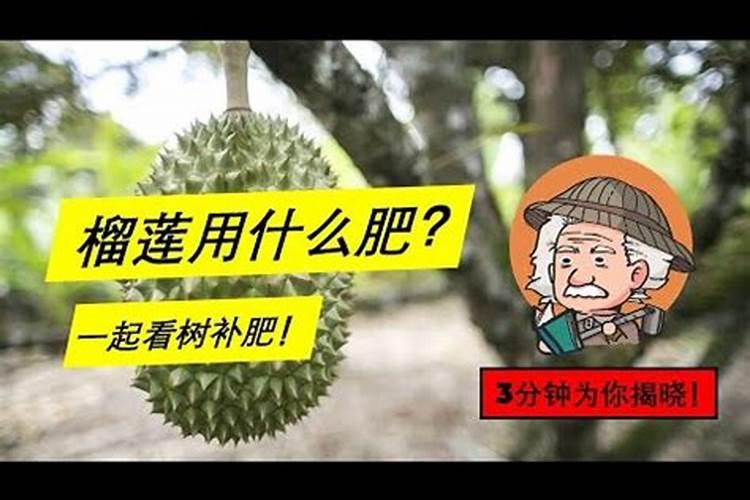 榴莲长了黑色的毛是什么情况啊？该怎么办啊？