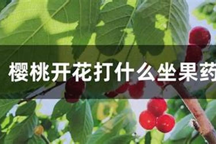 樱桃开花可施什么肥料