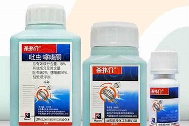 黄瓜栽培可施用的钙肥有哪些？