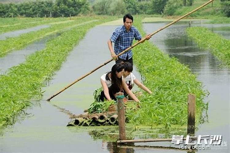 水上怎样种植空心菜？