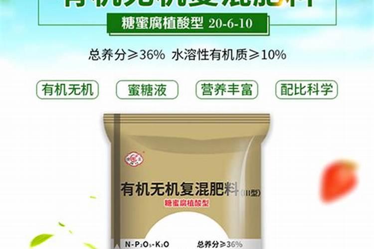 兰花施什么肥最好