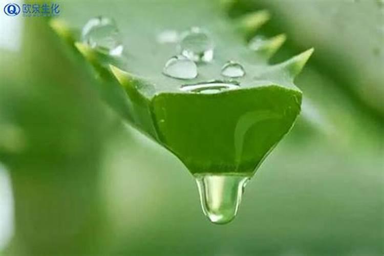 花草什么时候施肥最好 花草施肥时间