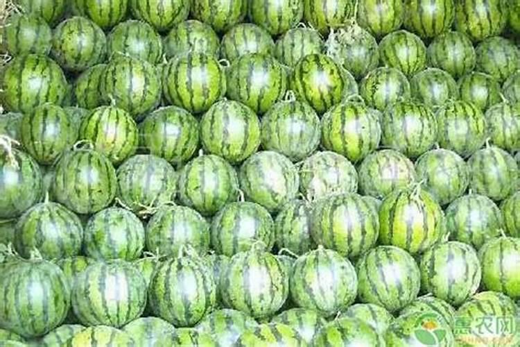 鱼塘养殖中施磷肥能起怎样作用