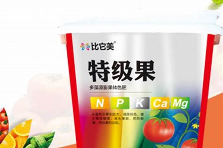 谁能说说阳台茄子的种植方法是什么？阳台可以种植什么？