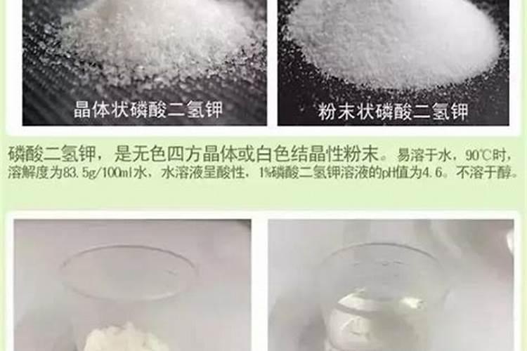 葡萄的根部追肥有哪些作用？