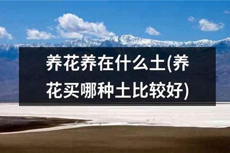 养花什么复合肥好、养花什么复合肥好养