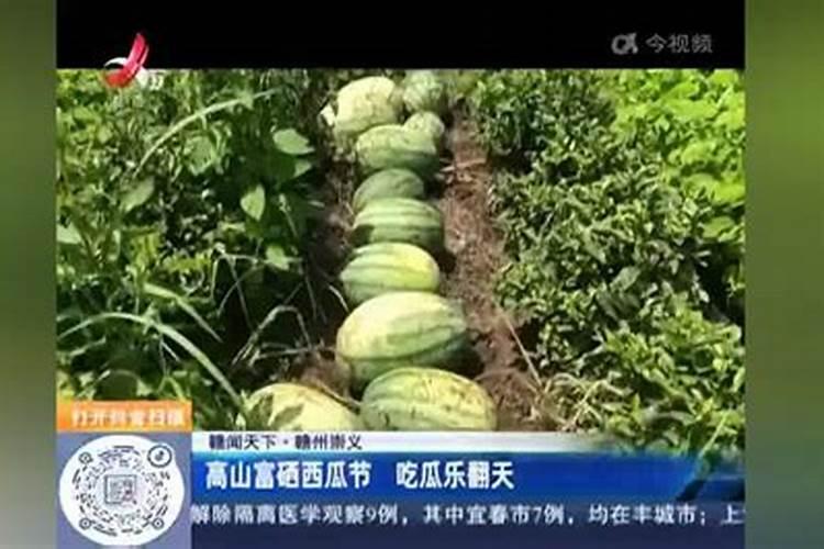 种瓜用什么肥料好又甜又大。