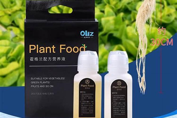 水培植物用什么肥料