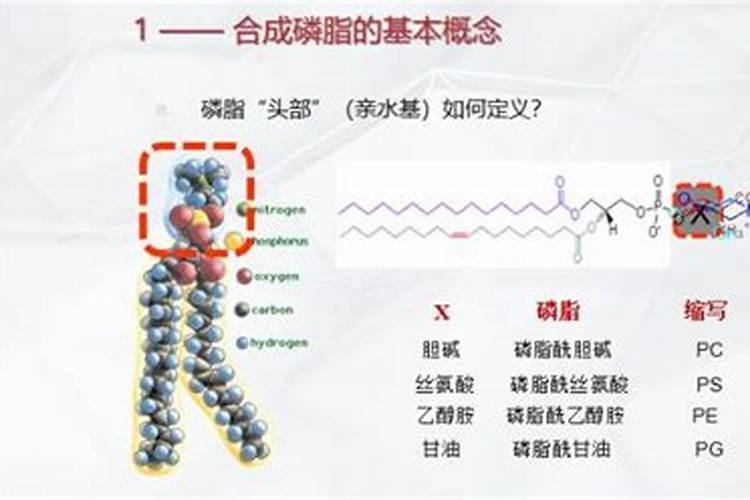 磷肥是磷酸二氢钾吗