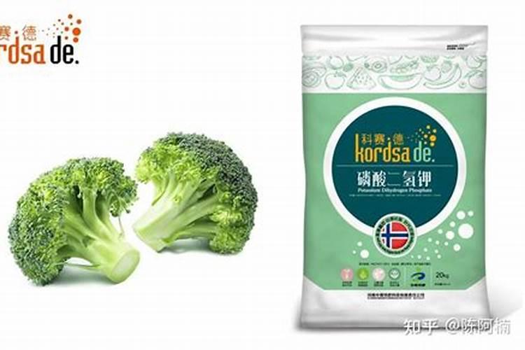 兰花叶面肥有哪些