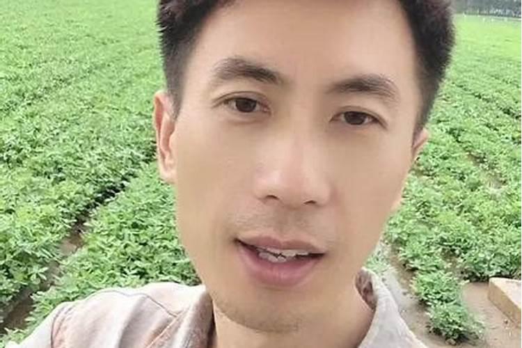 水稻叶面肥哪种好 如何正确喷施