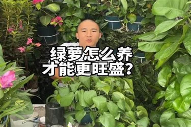 小麦施肥最佳配比 小麦施肥最佳配比是多少