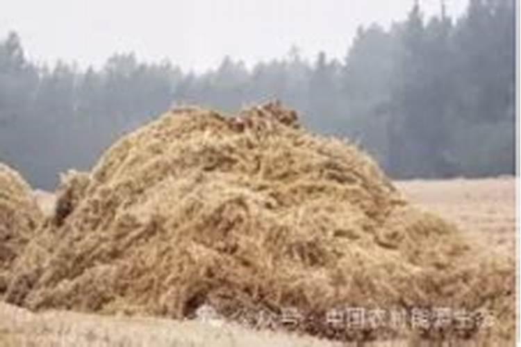 沤肥和堆肥的区别