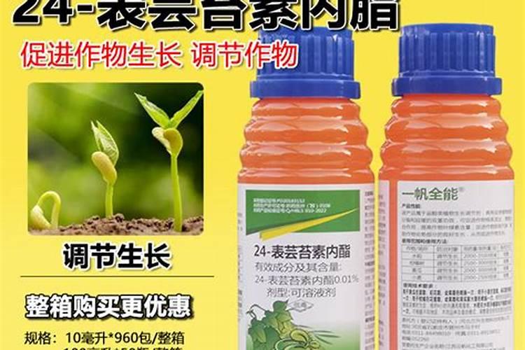 西瓜膨果期用什么肥料