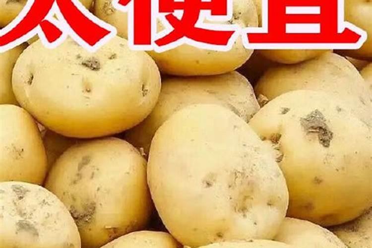 种土豆用什么复合肥最好