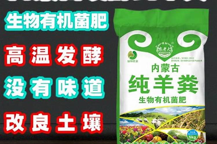 冬天浇花的最佳时间