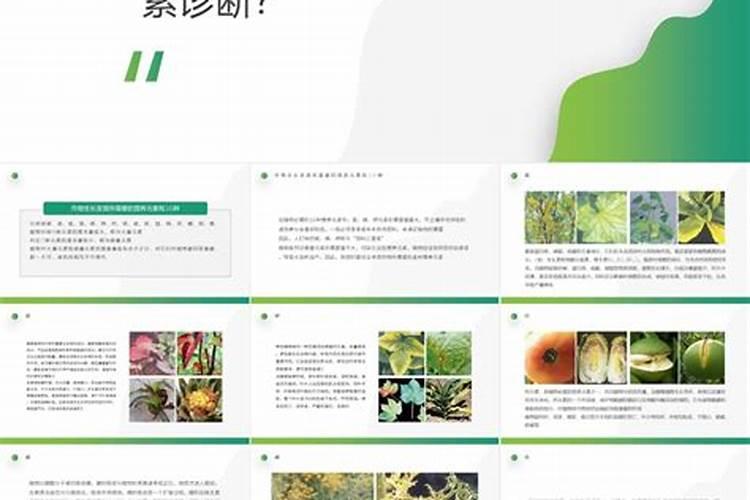 钙镁磷肥有哪些用处？