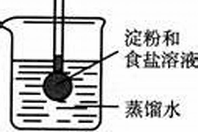 增施农家肥可以提高光合效率的原因