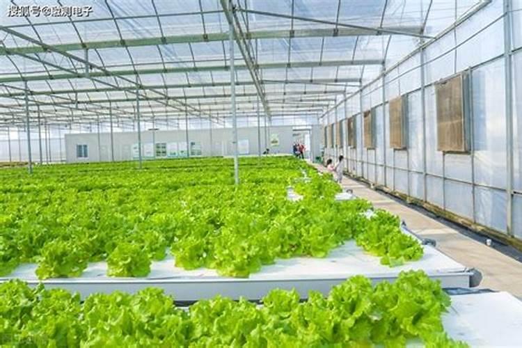 利用二氧化碳施肥的方法有哪些