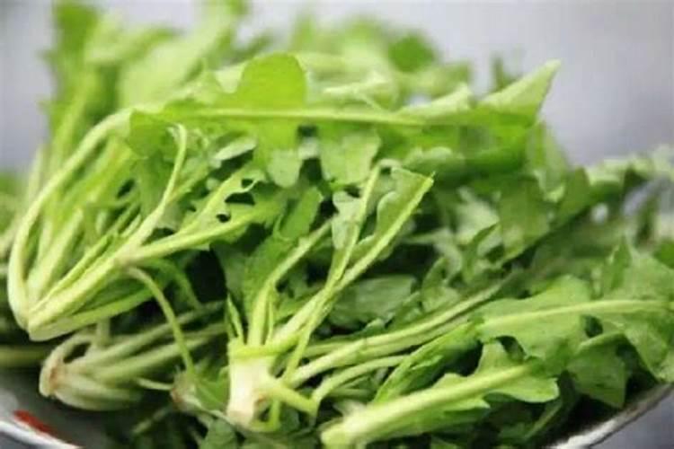 油菜上什么化肥最好
