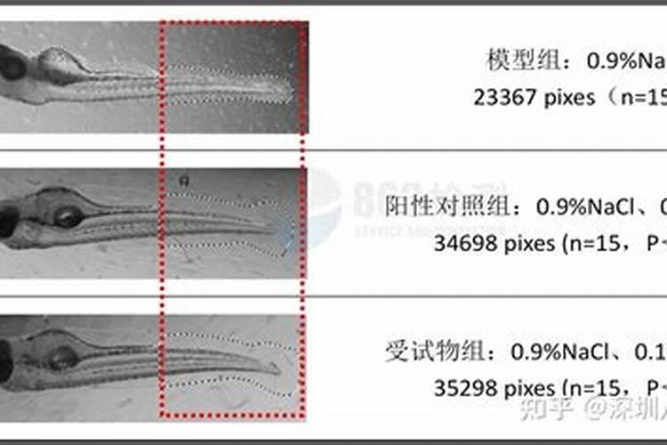 用什么肥料使柑橘秋梢老熟快