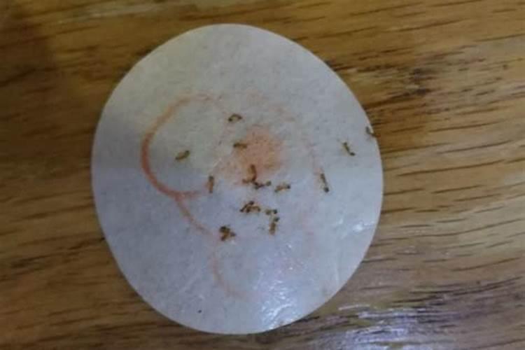 硼砂有什么作用？