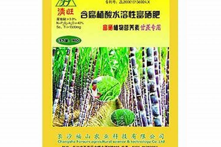 沙糖桔的病虫害防治