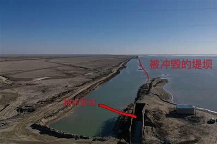 果树缺钙用什么肥料最适合