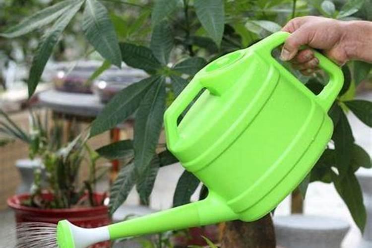 双氰胺是不是危险品