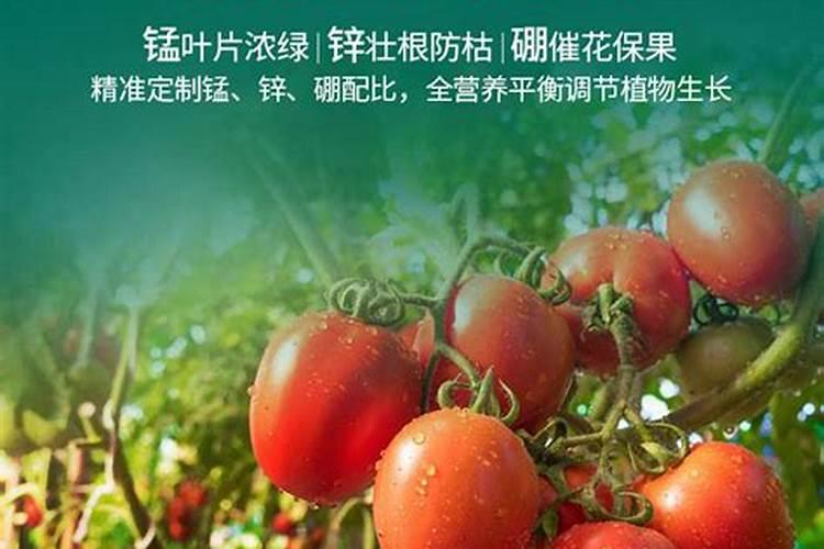 氨基酸叶面肥能控旺吗 氨基酸叶面肥如何控旺