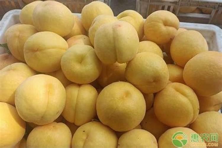 补充多种维生素和微量元素的产品里,哪一款产品的营养含量更高一些...