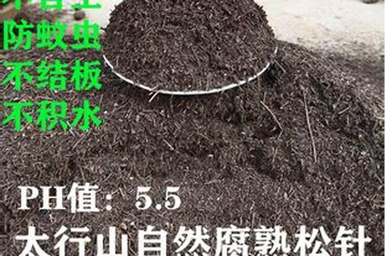 杜鹃花用花花肥什么型号
