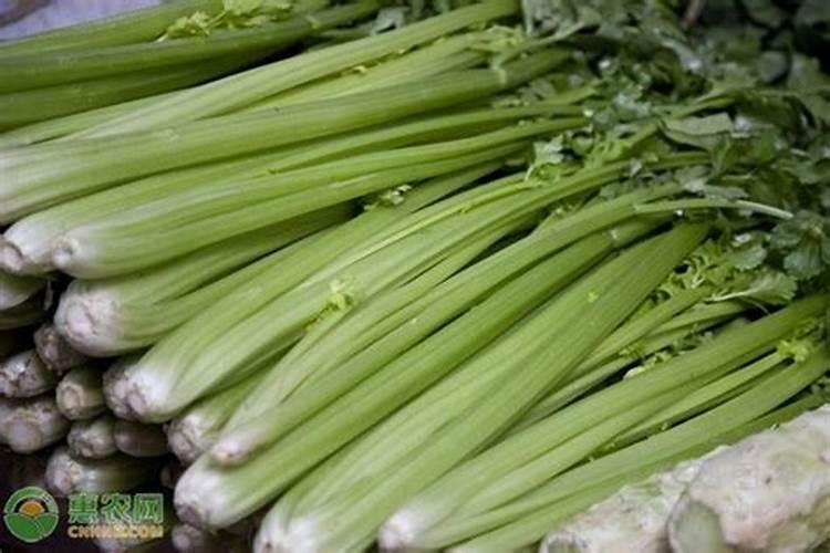 蔬菜地使用什么除草剂